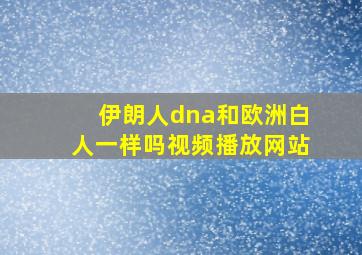 伊朗人dna和欧洲白人一样吗视频播放网站