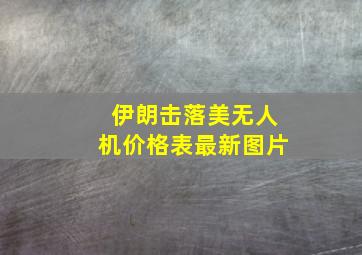 伊朗击落美无人机价格表最新图片