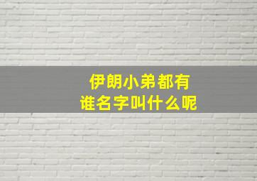 伊朗小弟都有谁名字叫什么呢