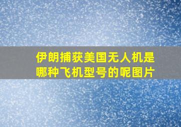 伊朗捕获美国无人机是哪种飞机型号的呢图片