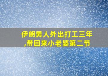 伊朗男人外出打工三年,带回来小老婆第二节