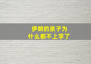 伊朗的孩子为什么都不上学了