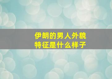 伊朗的男人外貌特征是什么样子