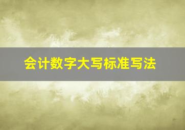 会计数字大写标准写法