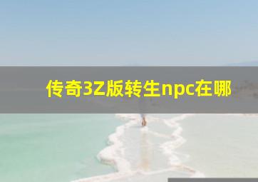 传奇3Z版转生npc在哪