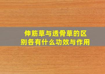 伸筋草与透骨草的区别各有什么功效与作用