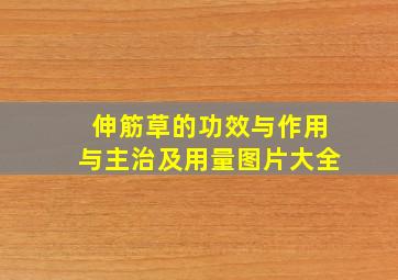 伸筋草的功效与作用与主治及用量图片大全