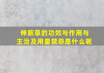 伸筋草的功效与作用与主治及用量禁忌是什么呢