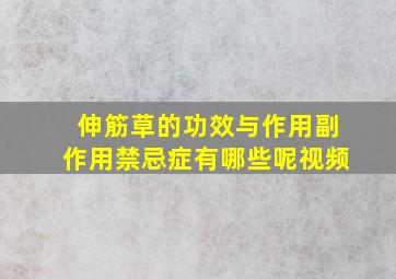 伸筋草的功效与作用副作用禁忌症有哪些呢视频