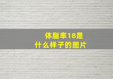 体脂率18是什么样子的图片