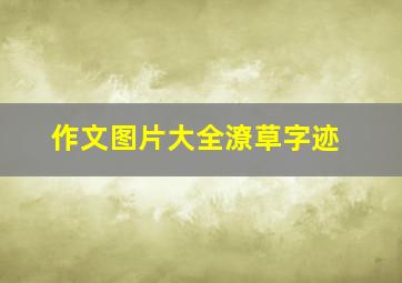 作文图片大全潦草字迹