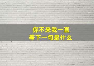 你不来我一直等下一句是什么