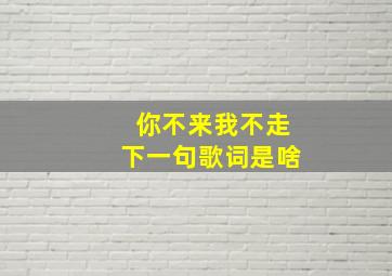 你不来我不走下一句歌词是啥