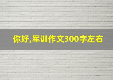 你好,军训作文300字左右