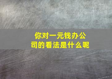 你对一元钱办公司的看法是什么呢