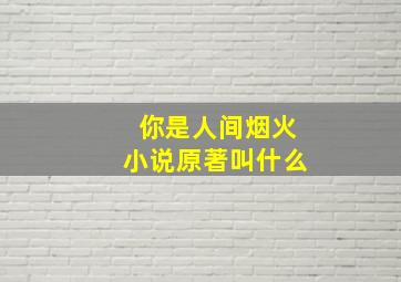 你是人间烟火小说原著叫什么