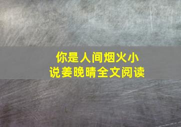 你是人间烟火小说姜晚晴全文阅读