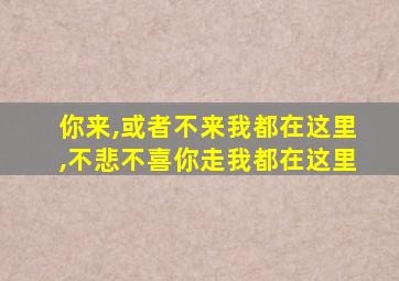 你来,或者不来我都在这里,不悲不喜你走我都在这里