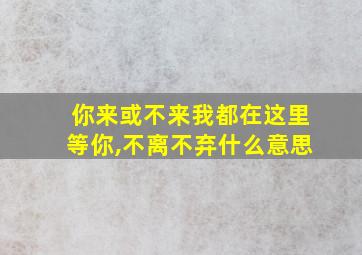 你来或不来我都在这里等你,不离不弃什么意思