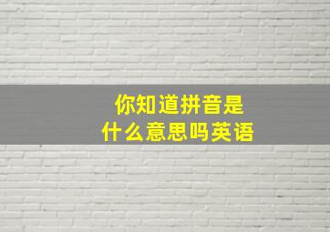 你知道拼音是什么意思吗英语