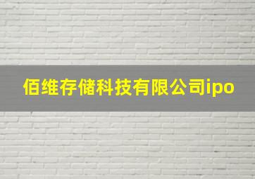 佰维存储科技有限公司ipo