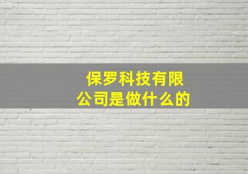 保罗科技有限公司是做什么的