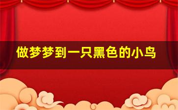 做梦梦到一只黑色的小鸟