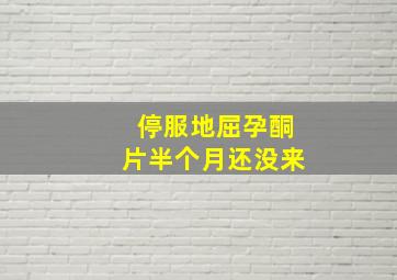 停服地屈孕酮片半个月还没来