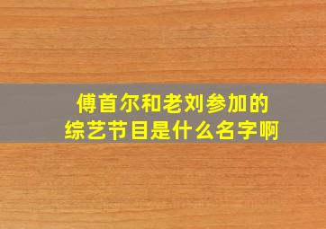 傅首尔和老刘参加的综艺节目是什么名字啊