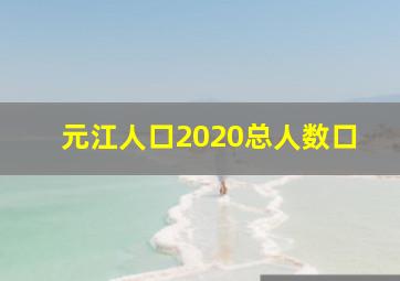 元江人口2020总人数口