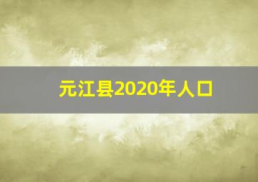 元江县2020年人口