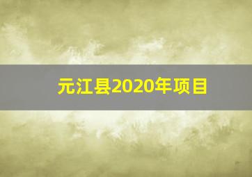 元江县2020年项目