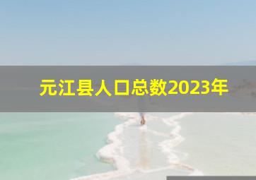 元江县人口总数2023年