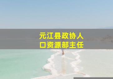 元江县政协人口资源部主任