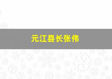 元江县长张伟