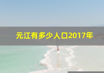 元江有多少人口2017年