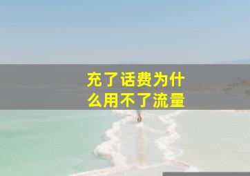 充了话费为什么用不了流量