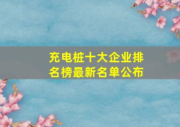 充电桩十大企业排名榜最新名单公布