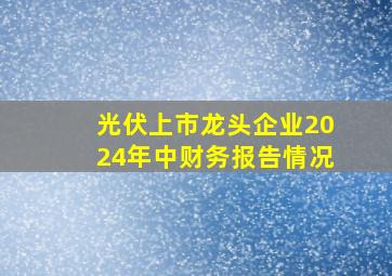 光伏上市龙头企业2024年中财务报告情况