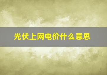 光伏上网电价什么意思