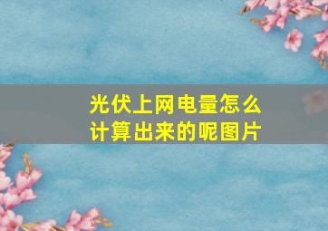 光伏上网电量怎么计算出来的呢图片