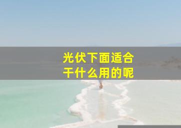 光伏下面适合干什么用的呢