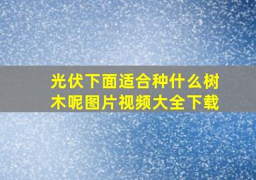 光伏下面适合种什么树木呢图片视频大全下载