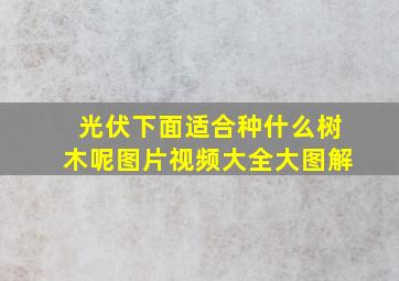 光伏下面适合种什么树木呢图片视频大全大图解