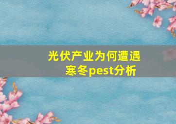 光伏产业为何遭遇寒冬pest分析