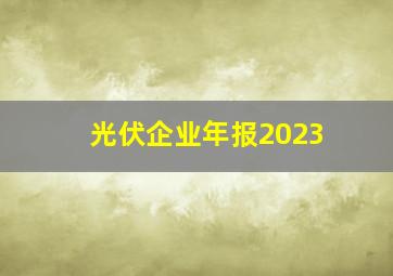 光伏企业年报2023