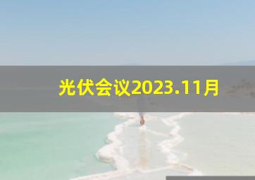 光伏会议2023.11月