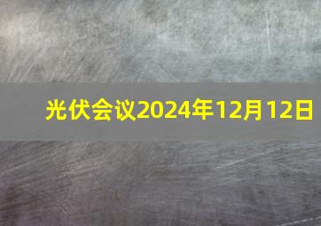 光伏会议2024年12月12日