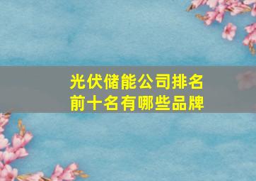 光伏储能公司排名前十名有哪些品牌