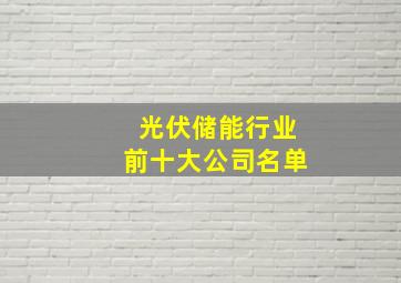 光伏储能行业前十大公司名单